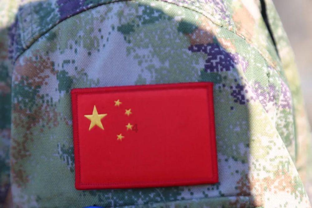 网上买回来的萨摩耶一直在睡觉不精神，朋友说是坐车坐久了？游戏画面